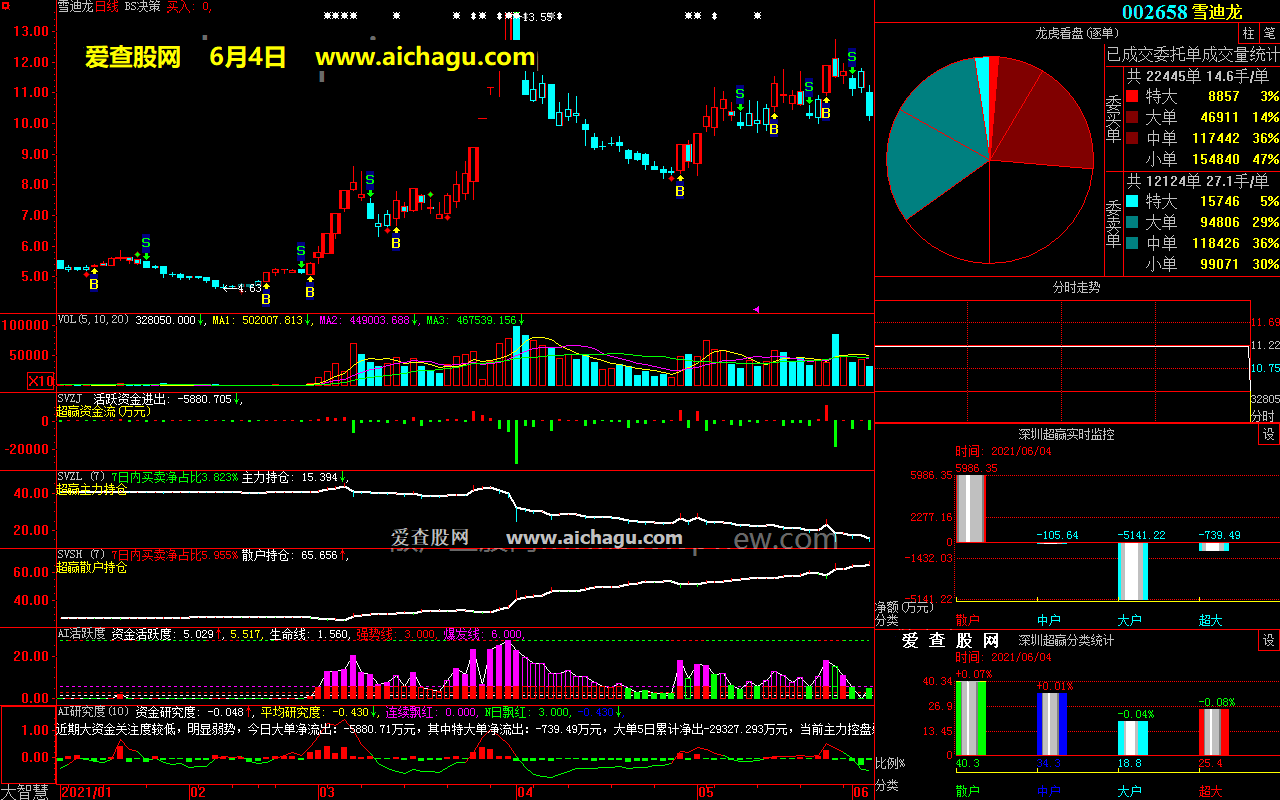 雪迪龙002658大智慧超赢数据