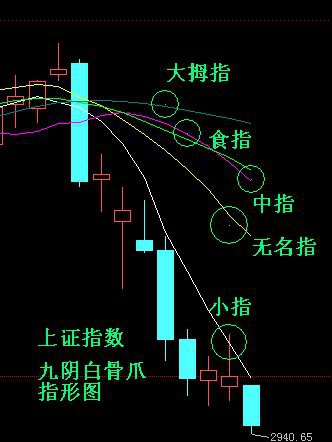 九阴白骨爪形态