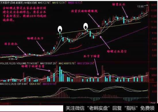 “金蛤蟆”的图形特征