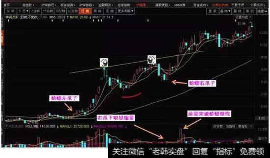“金蛤蟆”经典案例