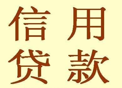 信用借款 信用借款
