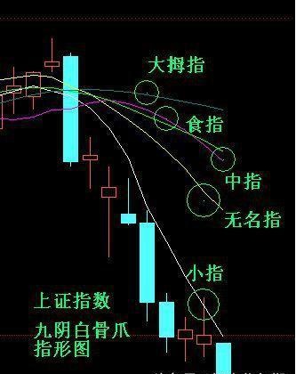 九阴白骨爪 九阴白骨爪
