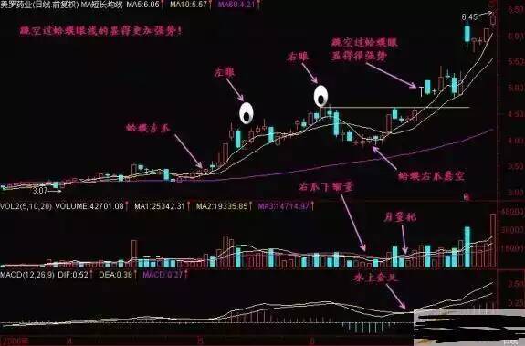 金蛤蟆图解 金蛤蟆图解