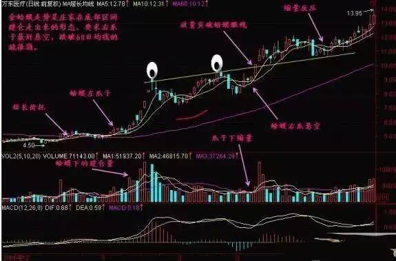 金蛤蟆简单分析 金蛤蟆简单分析