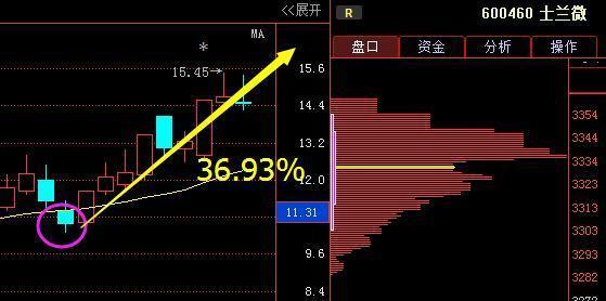 士兰微股票 士兰微股票