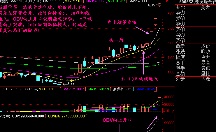美人肩5.png 美人肩5.png