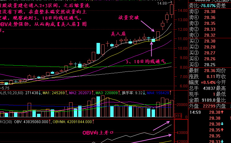 美人肩4.png 美人肩4.png